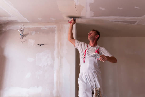 Best Water-Damaged Drywall Repair  in Windsor Heights, IA