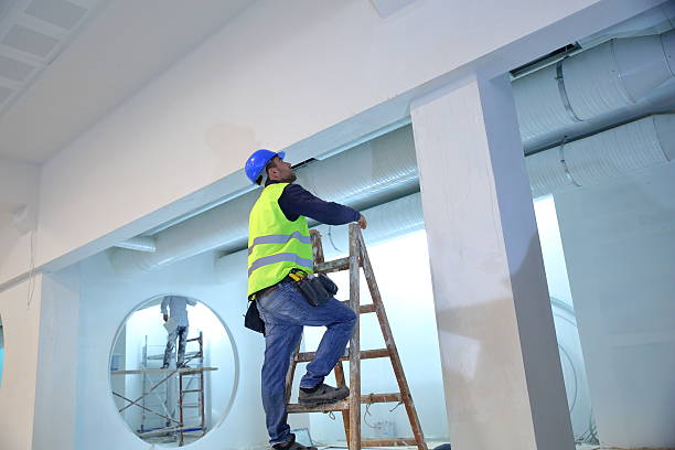 Best Drywall Texturing  in Windsor Heights, IA